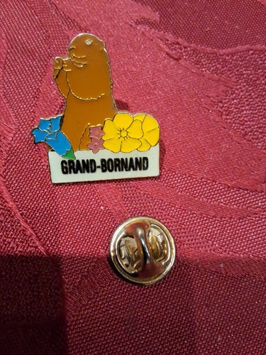 Pin grand bornand marmotte - grand, bornand.