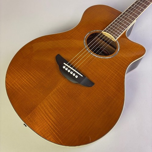 Yamaha apx600 - yamaha,