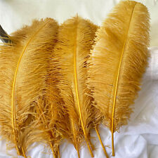 Mariage Costume DIY Plume