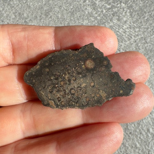 Meteorite chondrite ck5 - ck5, nwa