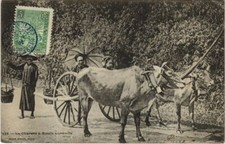 CPA AK VIETNAM La Charette a Boeufs Annamite (1068209)