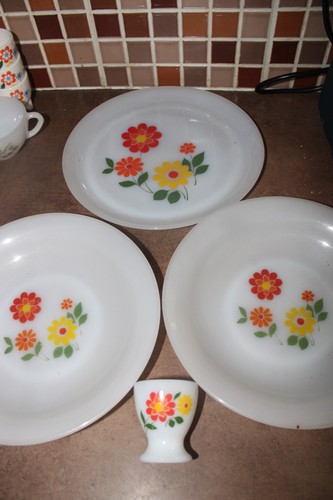 Assiettes creuses 1 - assiettes,
