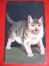 Carte Postale Old Postcard Cat CPA CHAT QUI MIAULE - cat