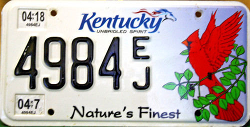Kentucky cardinal plaque - kentucky,