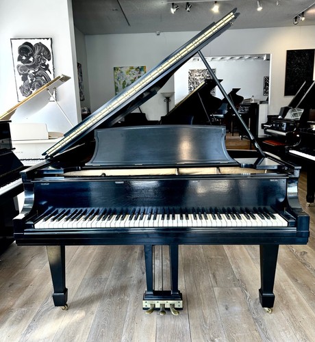 Steinway grand piano 11 - grand,