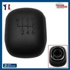 Pommeau pour Levier 6 Vitesses