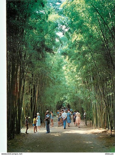 Carte postale anduze - postale,