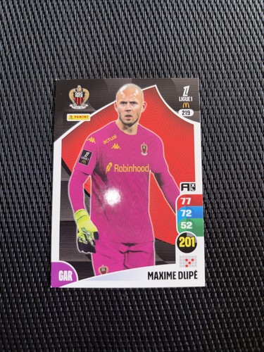 Carte panini adrenalyn - carte,