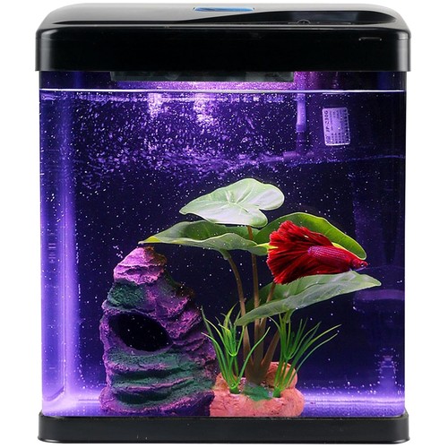 Desktop nano aquarium - nano,