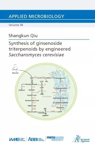 Synthesis ginsenoside - synthesis, of