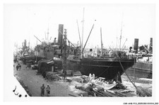 CAR-AHGP13-0521-CARGO - Rigel