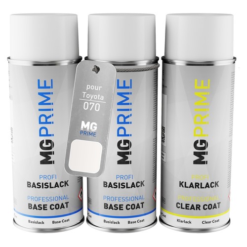 Peinture voiture kit bombe