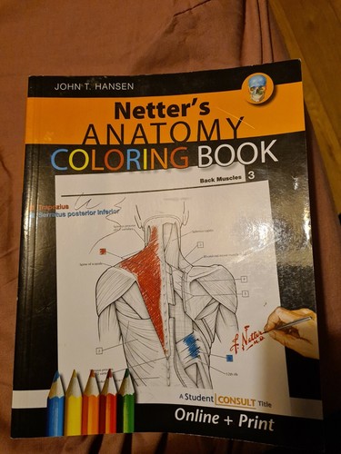 Netter anatomy coloring - netter's,