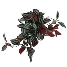  Déco Mural Decoration