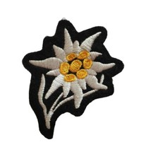 Edelweiss de casquette M43