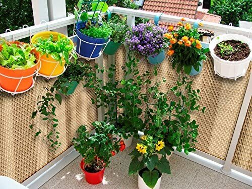 Brise vue rattan - en, pour