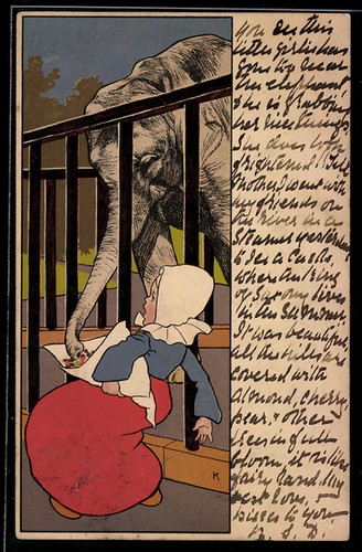 Carte postale éléphant - , au