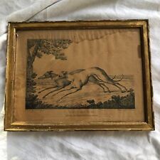 GRAVURE DE CHASSE CHIEN