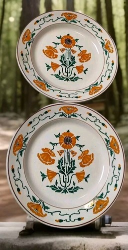 Assiettes plates anciennes - assiettes,
