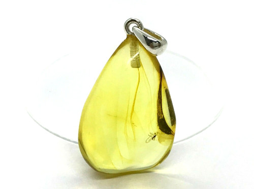 Pendentif ambre avec insectes - ambre,