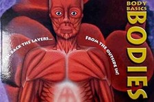 Body Basics: Bodies - Peel