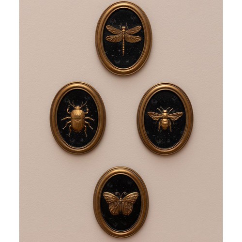 Ensemble cadres insectes - 4,