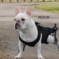 Assistance à la marche du