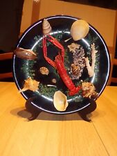 Assiette coquillages écrevisses ( 24,5 cm diamètre )