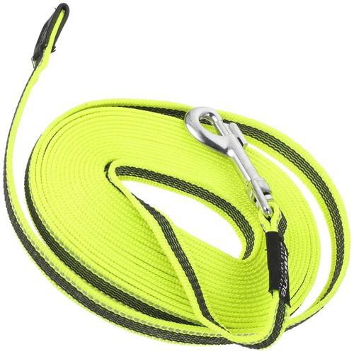 Laisse pour chiens dressage - chiens, À