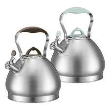 Théière Sifflante 4,3