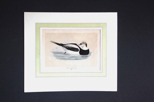 Gravure anglaise ancienne un - gravure,