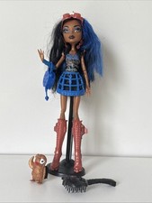 Monster high doll robecca - doll,