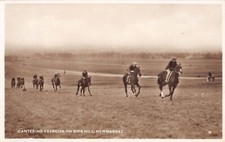 CPA HIPPISME / COURSES DE CHEVAUX / CANTERING EXERCICE ON SIDE HILL / NEWMARKET