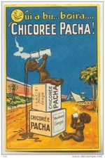 Plaque métal pub vintage chicorée   30 X 20 CM