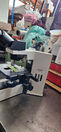 Microscope binoculaire olympus - binoculaire,