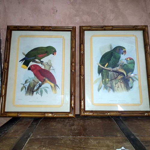 Paire lithographie smit - paire,