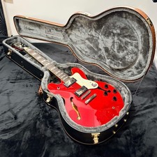 [Kiwami] Epiphone Riviera II