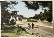 62 CPM Carte postale