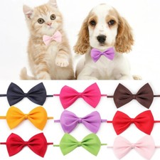 Noeud Papillon Chien Chat –