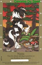 38/97 NANNA CARTE CARD BELLA SARA COLLECTION 2005 - 2007 - D