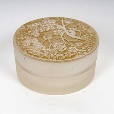Boite Pommier Du Japon Verre