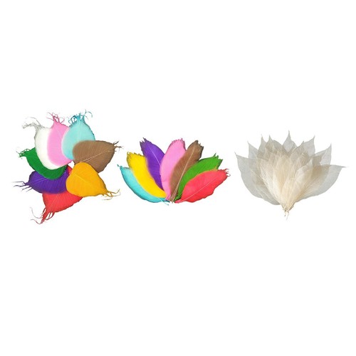 Feuilles squelette - feuilles,