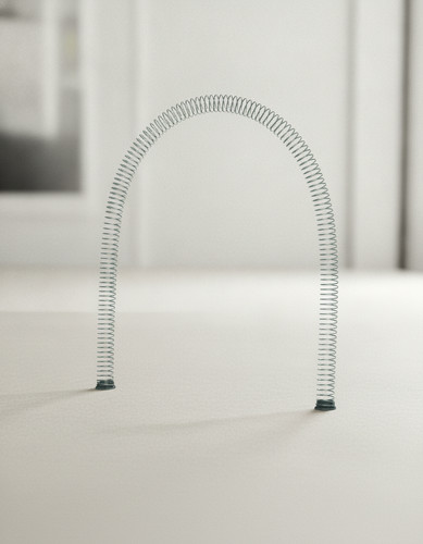 Grohe ressort rappel 07239 - ressort,