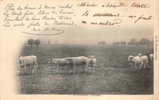 DANS Nièvre - Paniers en osier