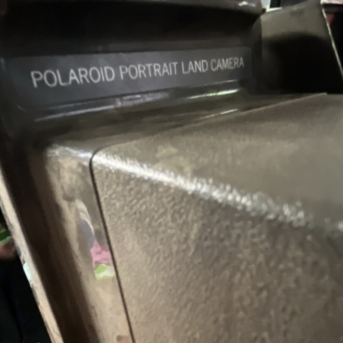 Polaroid big shot portrait - shot,