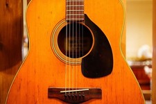 Yamaha FG-180 Light Green