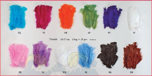 Small feathers quill barb - quill,
