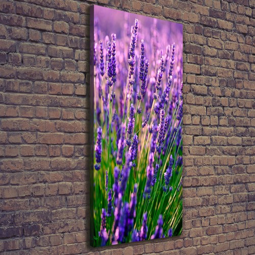 Tulup tableau sur toile - tulup, image