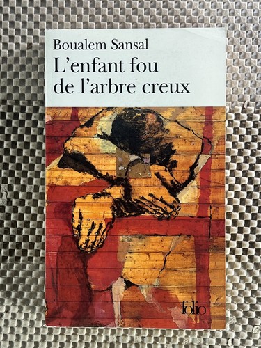Algerian francophone novel - francophone,