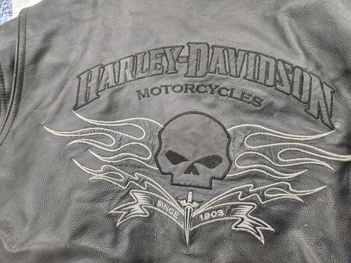 Harley davidson leather jacket - harley,